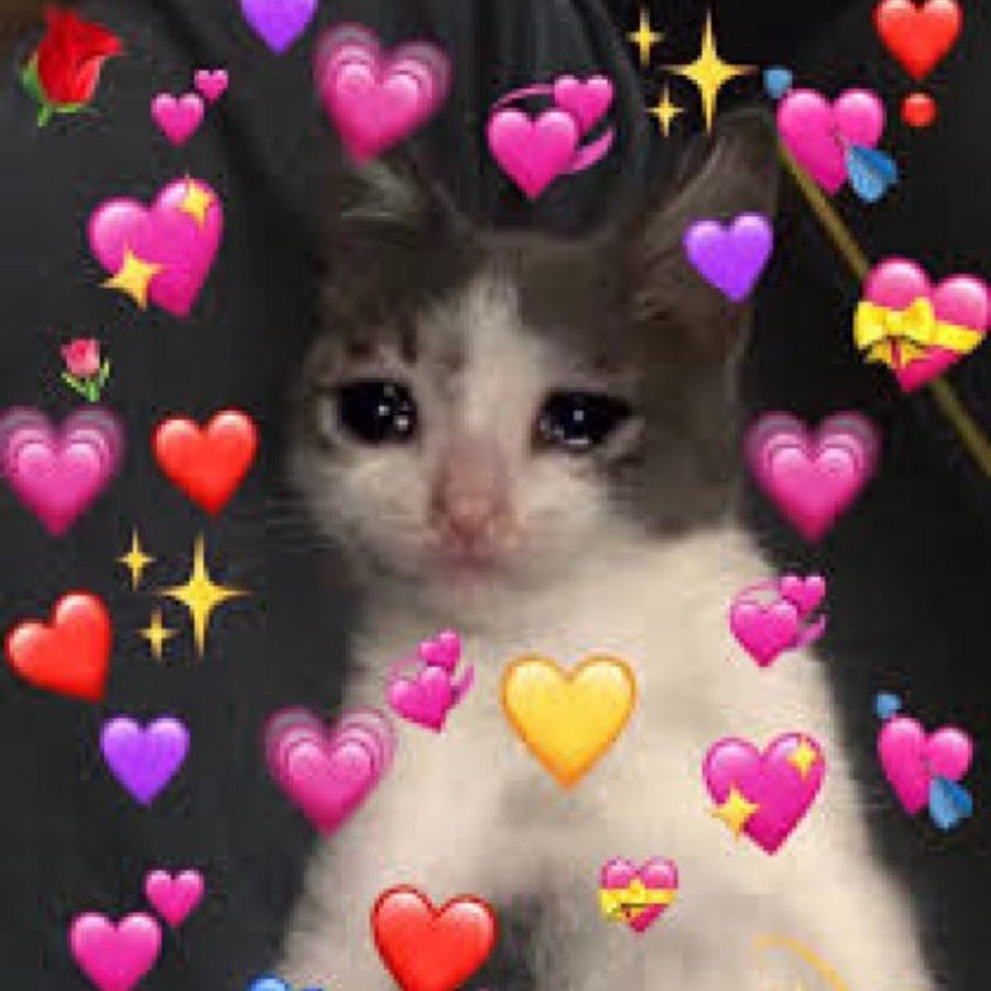 Котики с сердечками