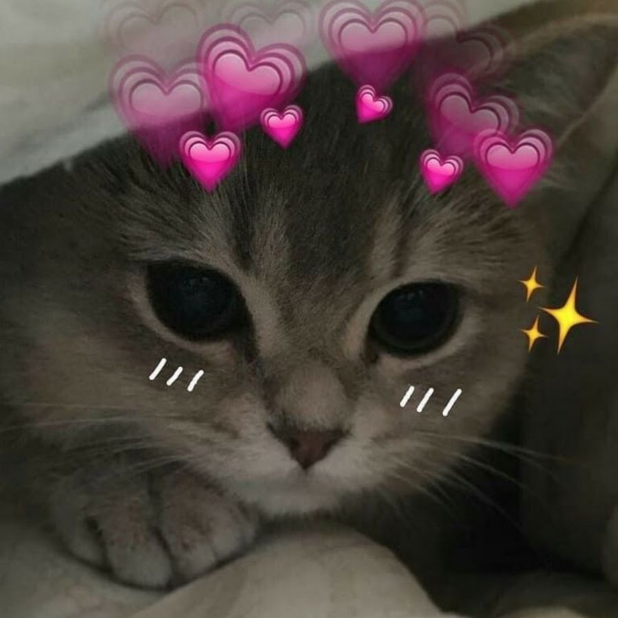 Валентинки с котятами