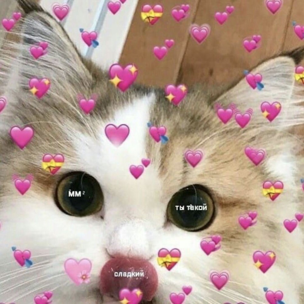 Милый котик с сердечками