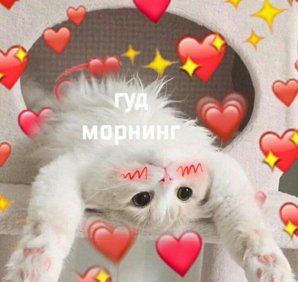 Котенок с сердечком