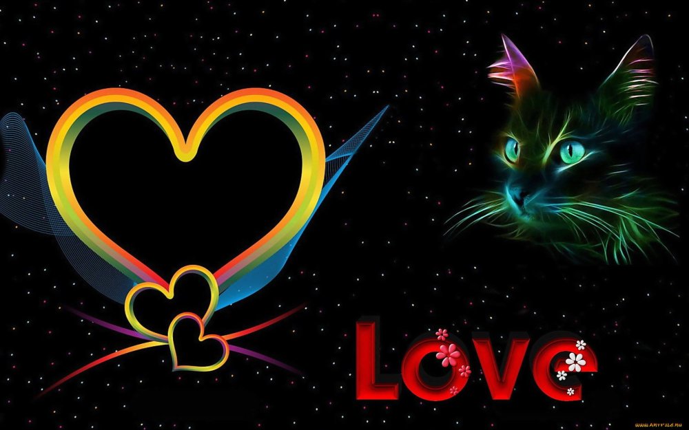 Котики с сердечками