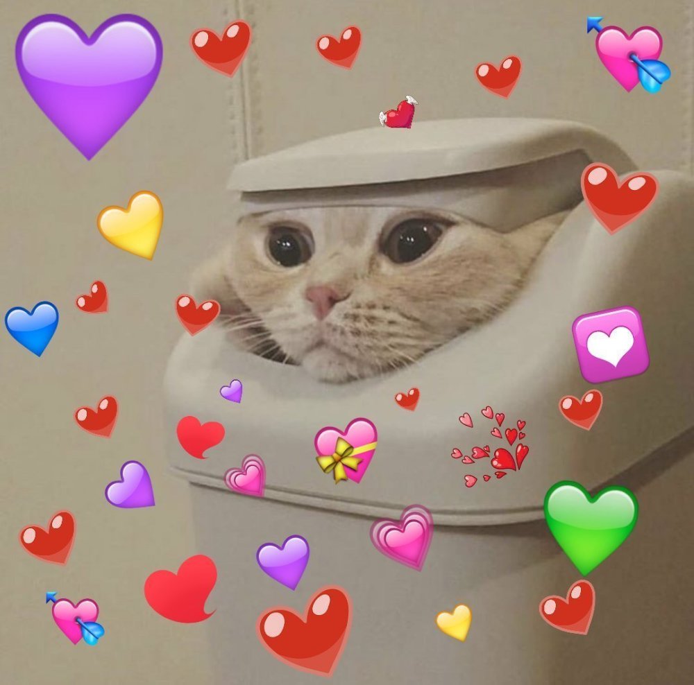 Котики с сердечками