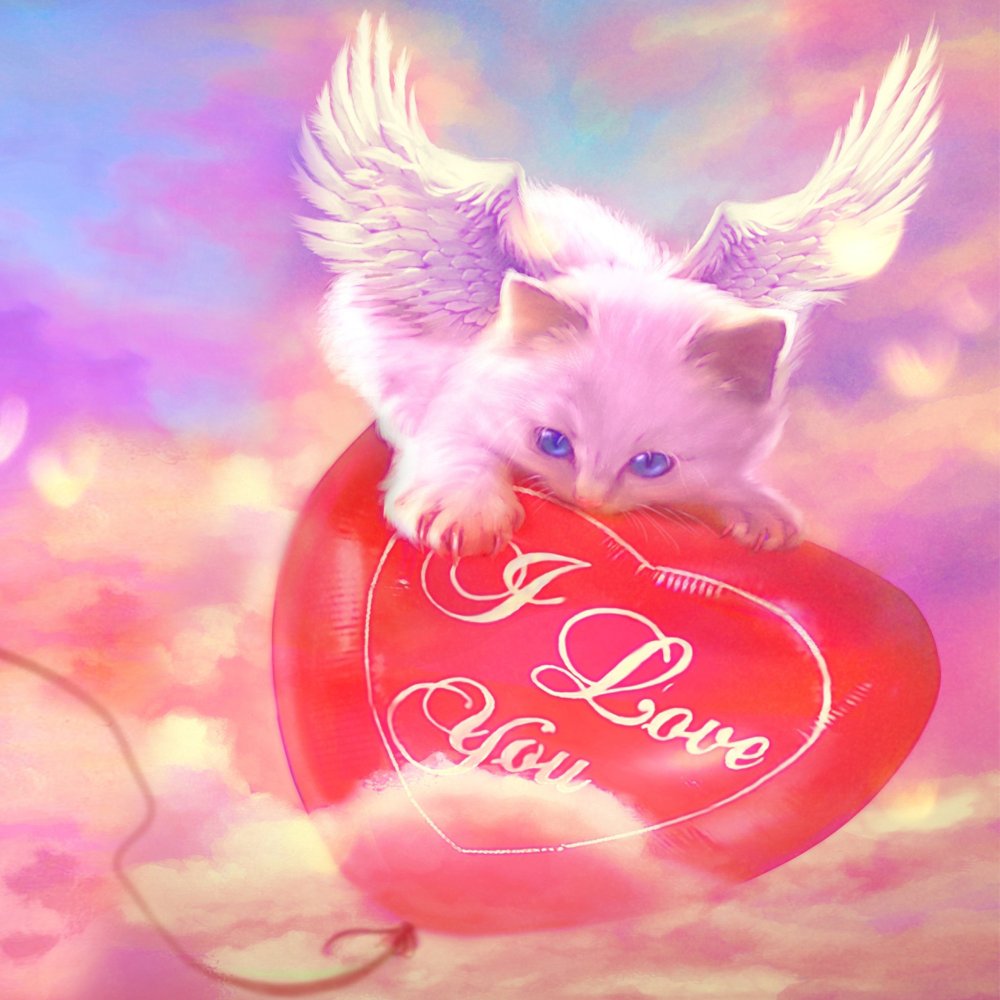 Котенок с сердечком