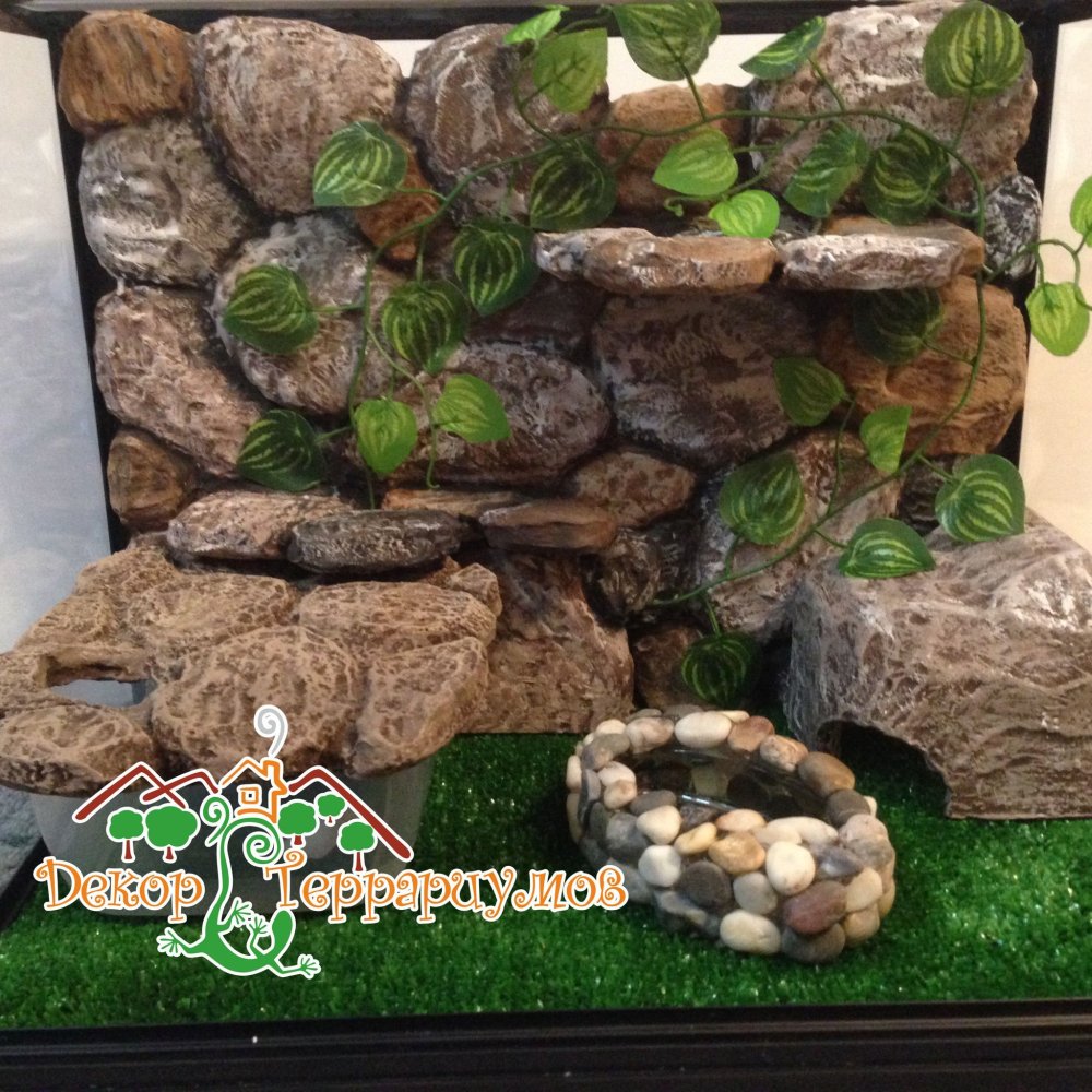 Декор для террариума эублефара