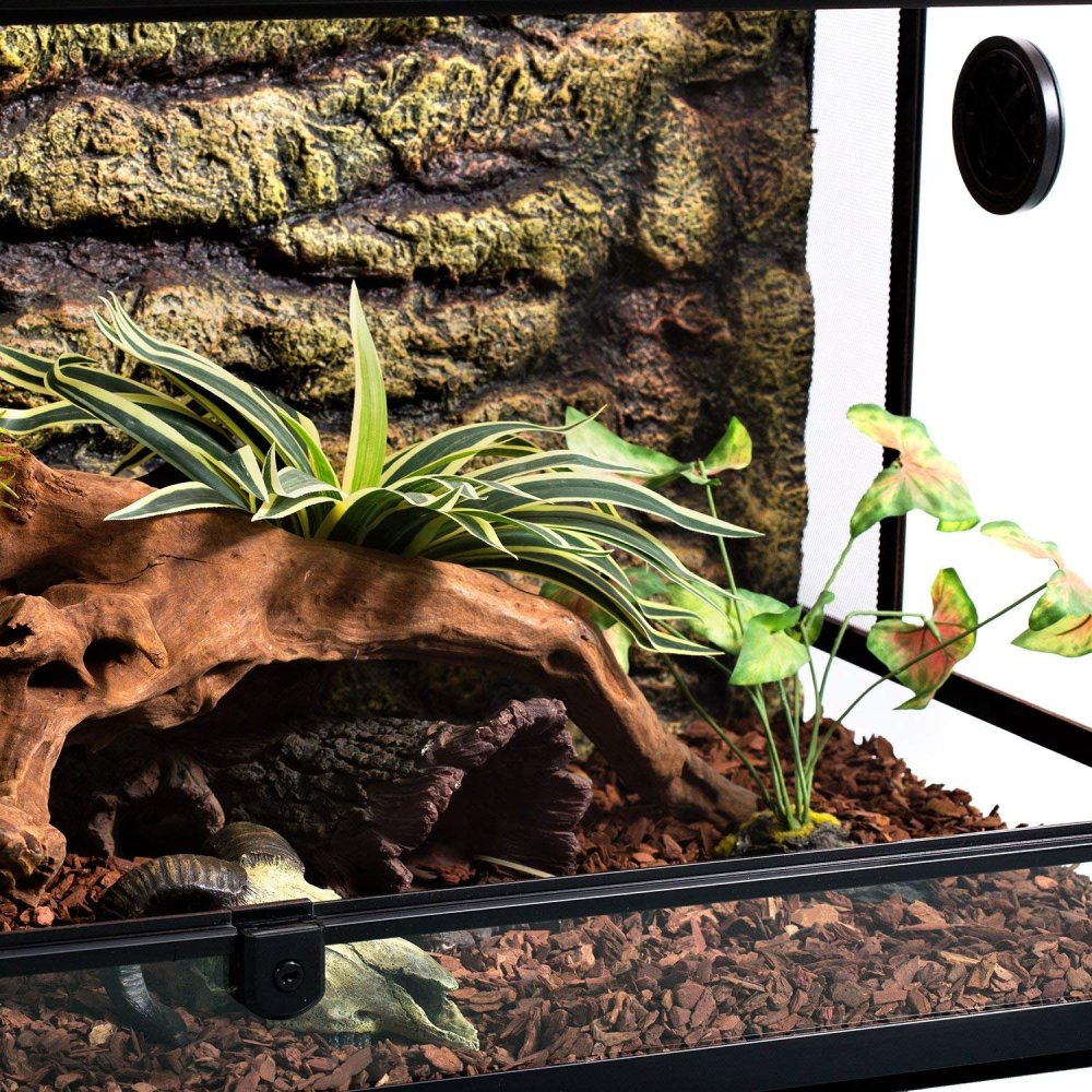 REPTIZOO Mini Reptile Glass Terrarium