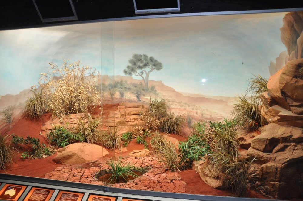 Пустынный декор для террариума