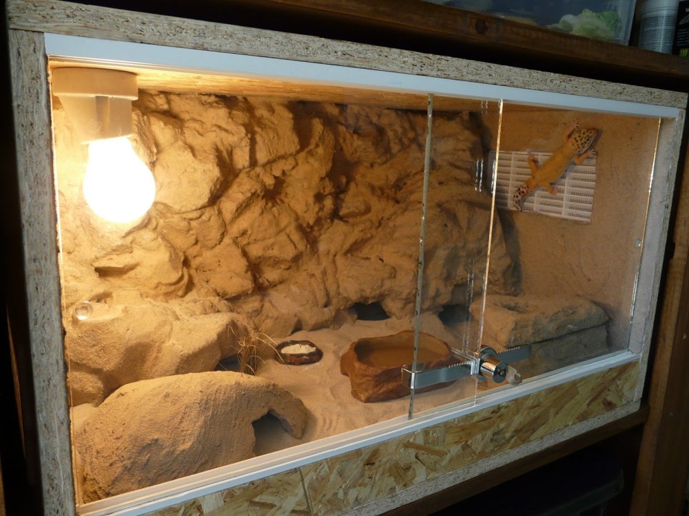 Террариум EXO Terra 60x45x90