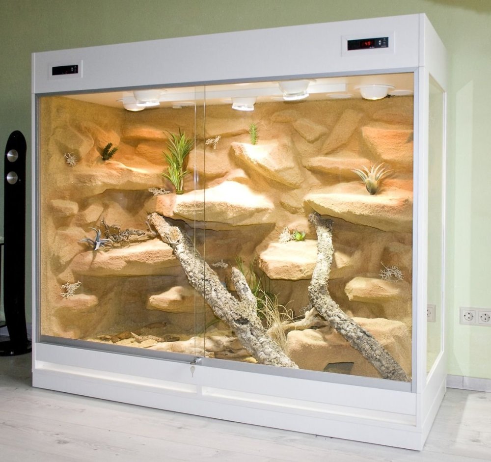 Задний фон для террариума эублефара