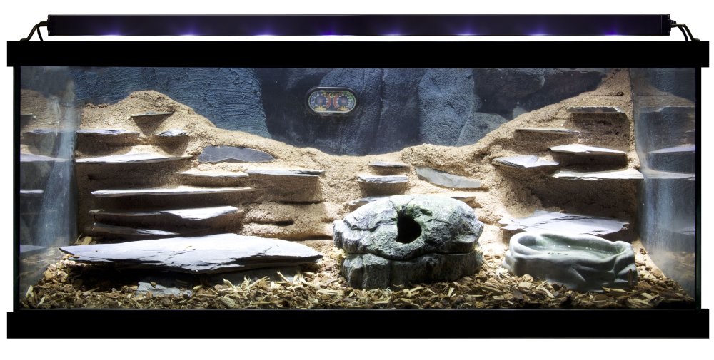 Фон для террариума эублефара