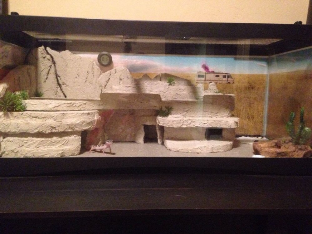 Хабитат для эублефара