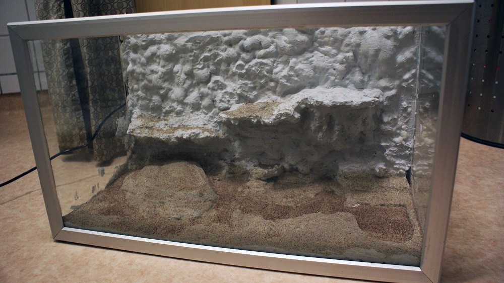 Задний фон для террариума эублефара