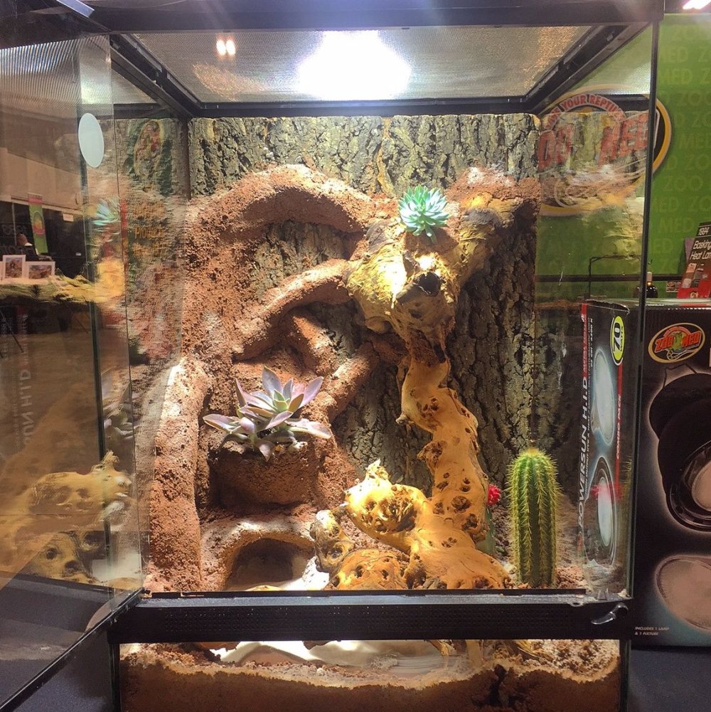 Pet Pet Zoo террариум