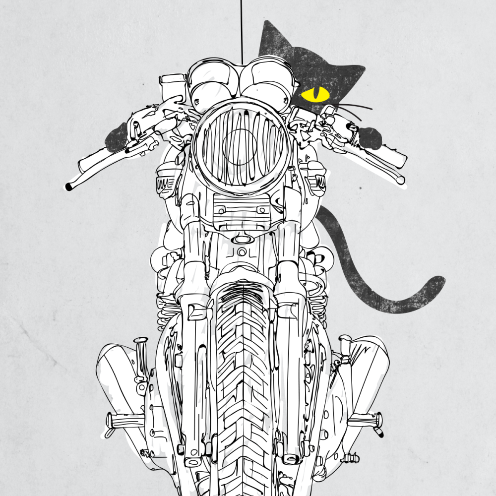 Кот на мотоцикле