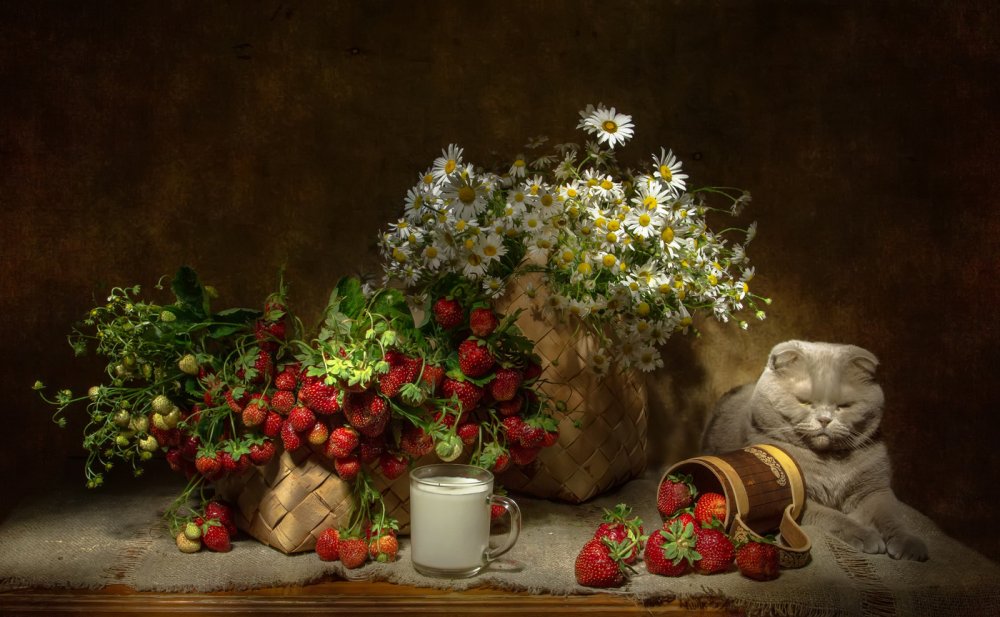 Картина в день рождения коты ромашки и клубника