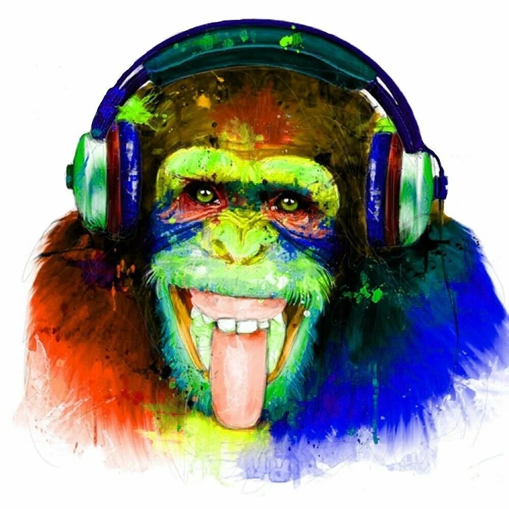 Картина обезьяна в кепке