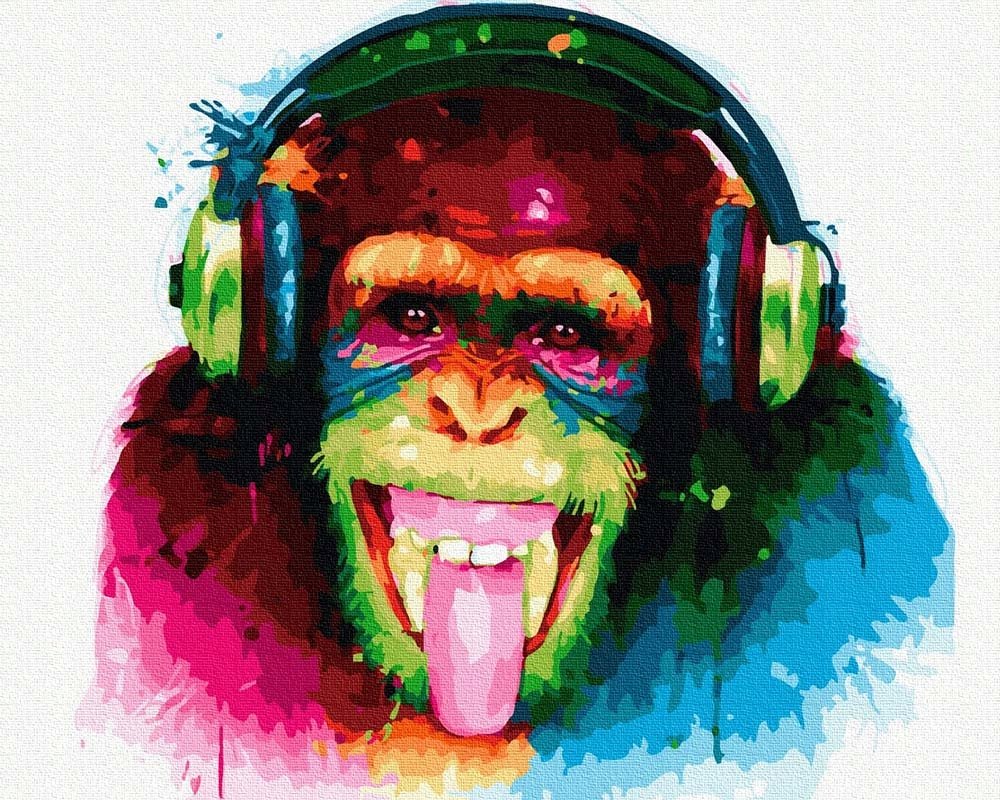 Обезьяна диджей