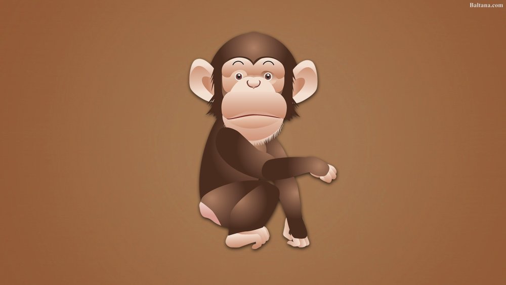 Мартышка Минимализм