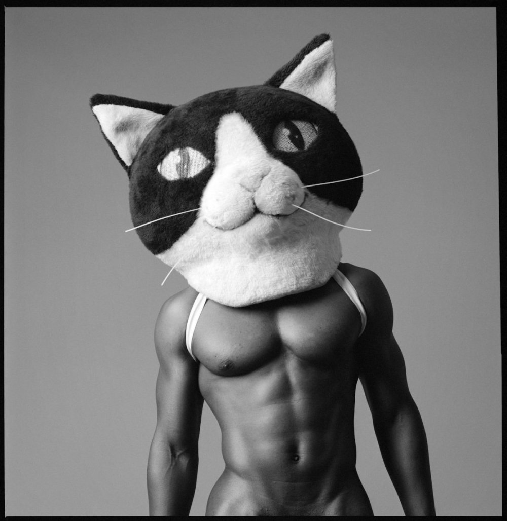 Мускулистый котенок