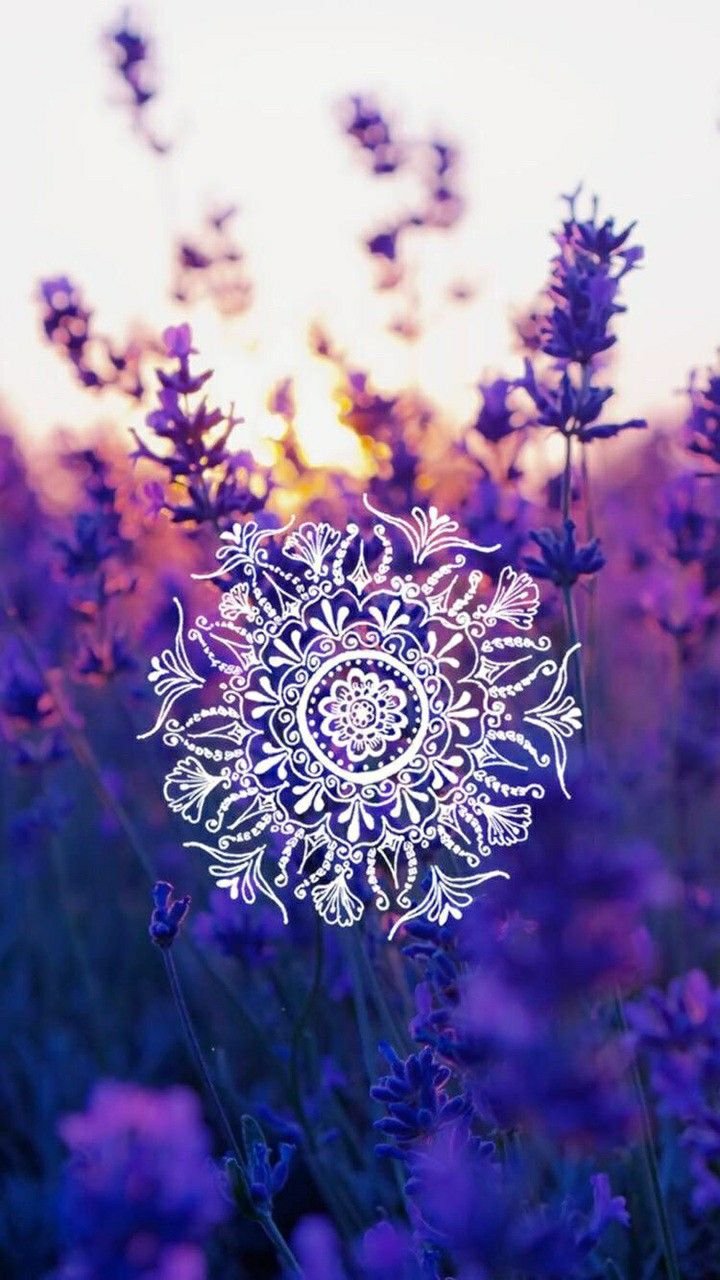 Хипстерские цветы