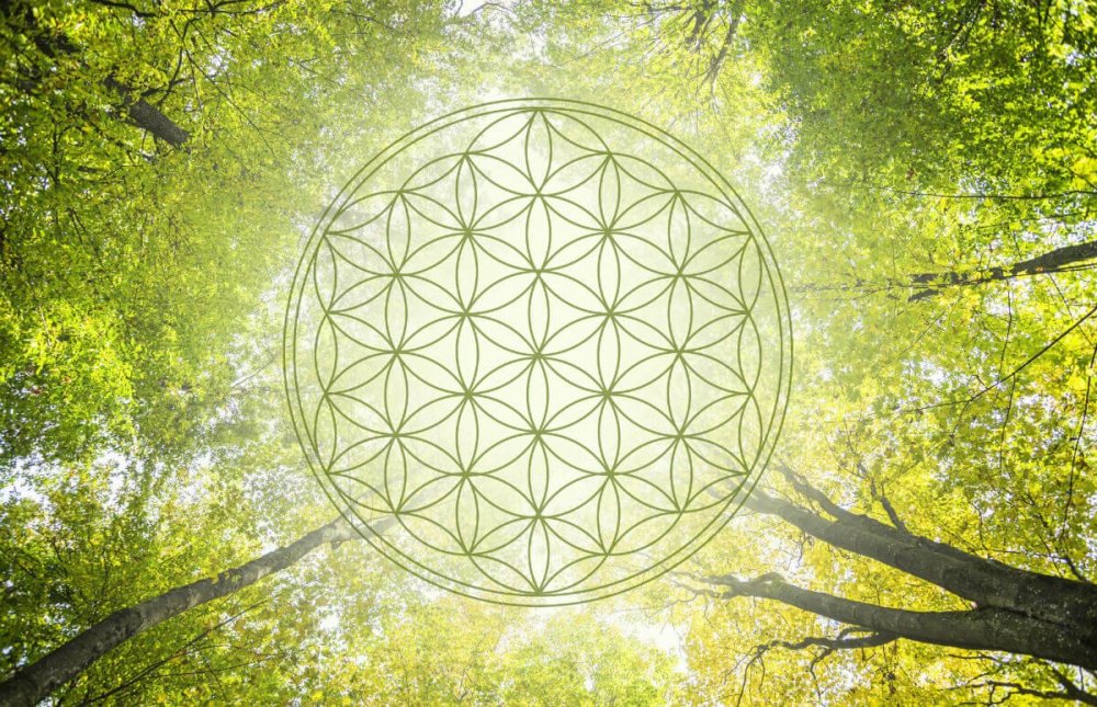 Цветок жизни Сакральная геометрия