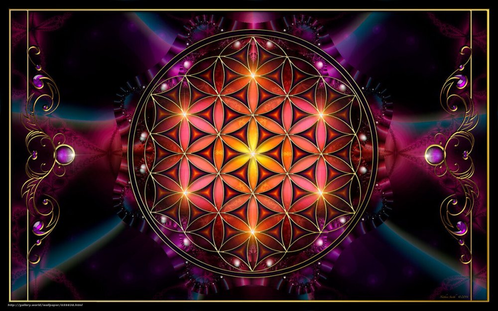 Цветок жизни арт