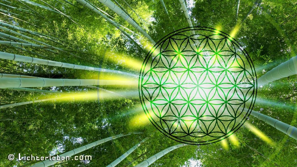 Сакральная геометрия