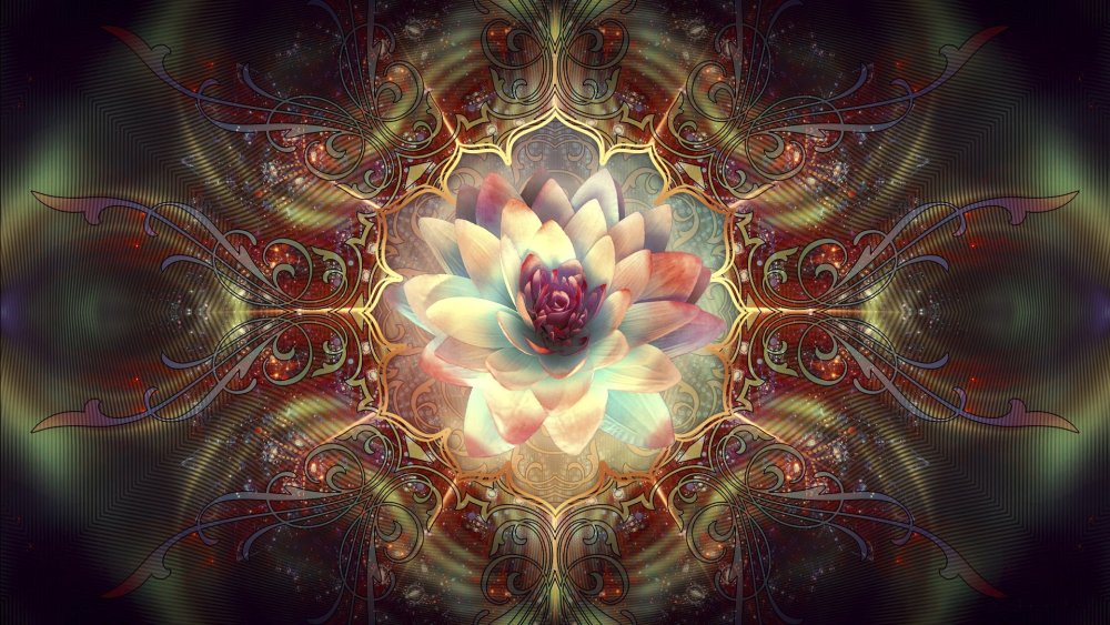 Фрактал цветок Мандала