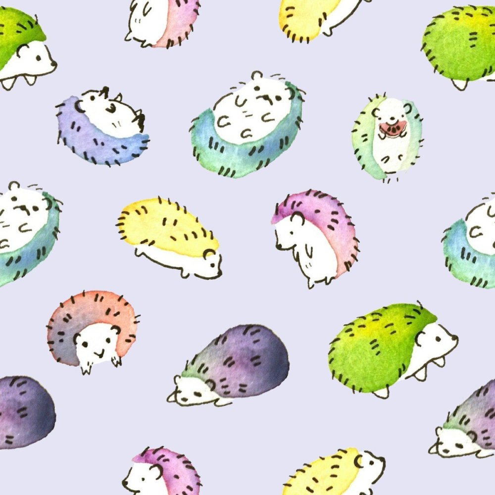 Кавайные ежики