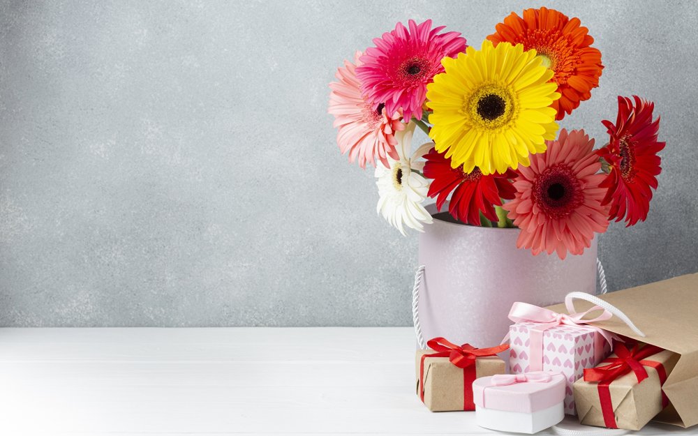 Герберы цветы