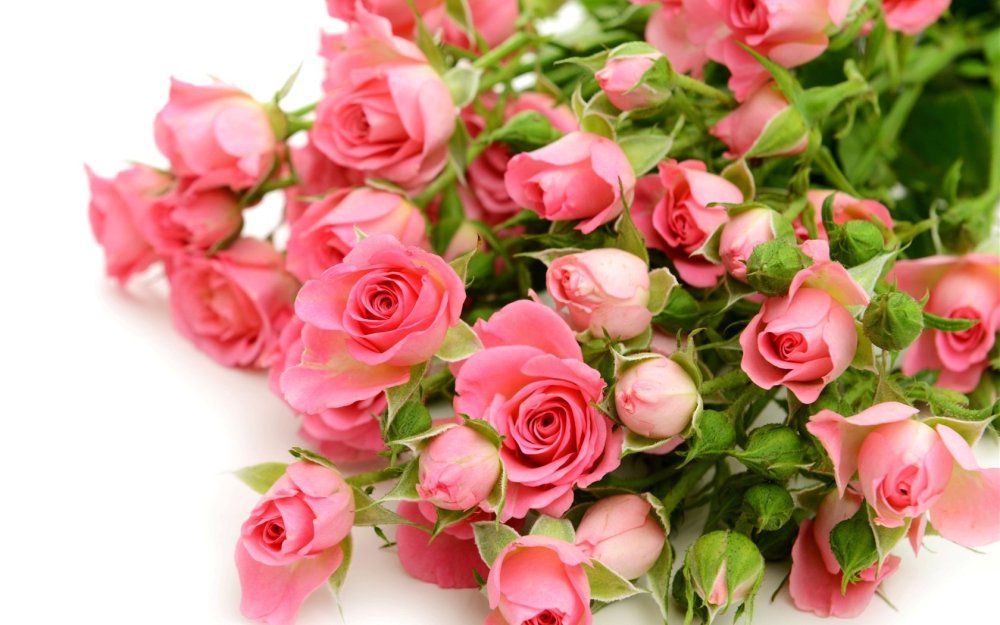 Букет розовых роз с днем рождения