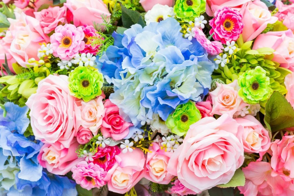 Красивейшие цветы