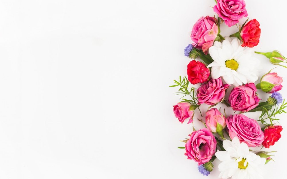 Фон с цветами для открытки