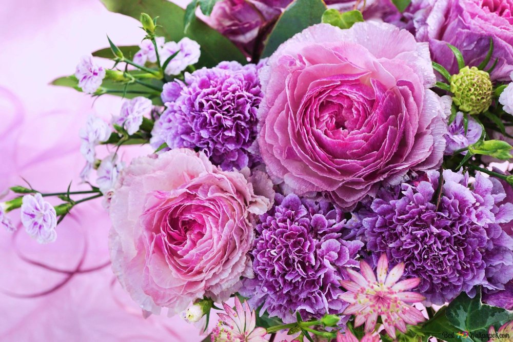 Пионы с сиренью