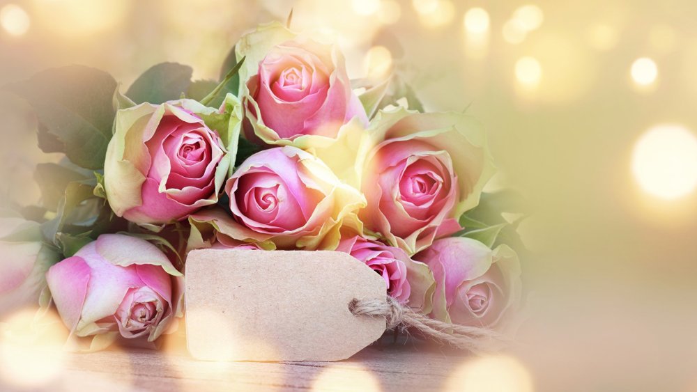 Фон с днём рождения женщине