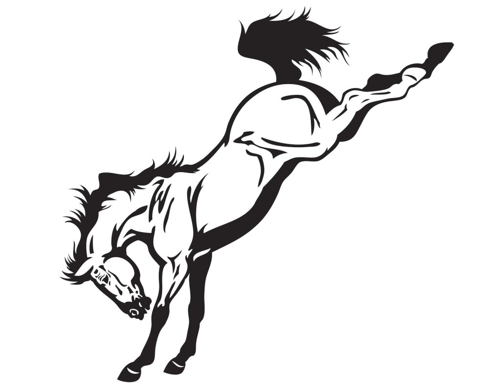 Лошадь на дыбах чб