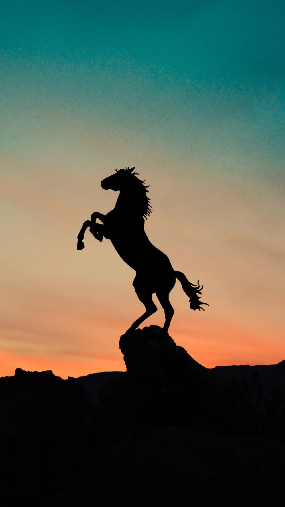 Обои на телефон лошади