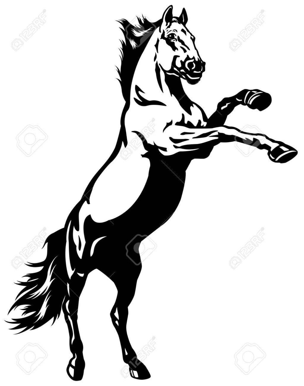 Конь на дыбах