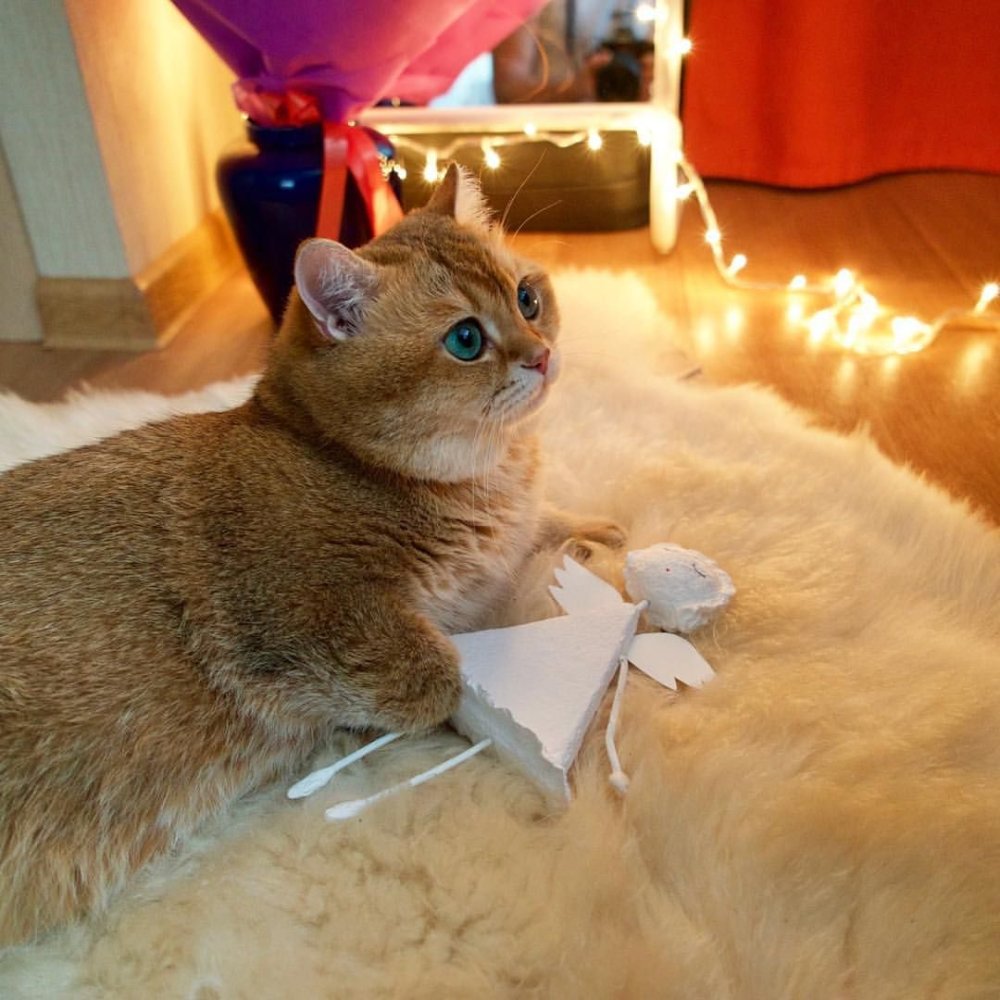 Хосико в свитере