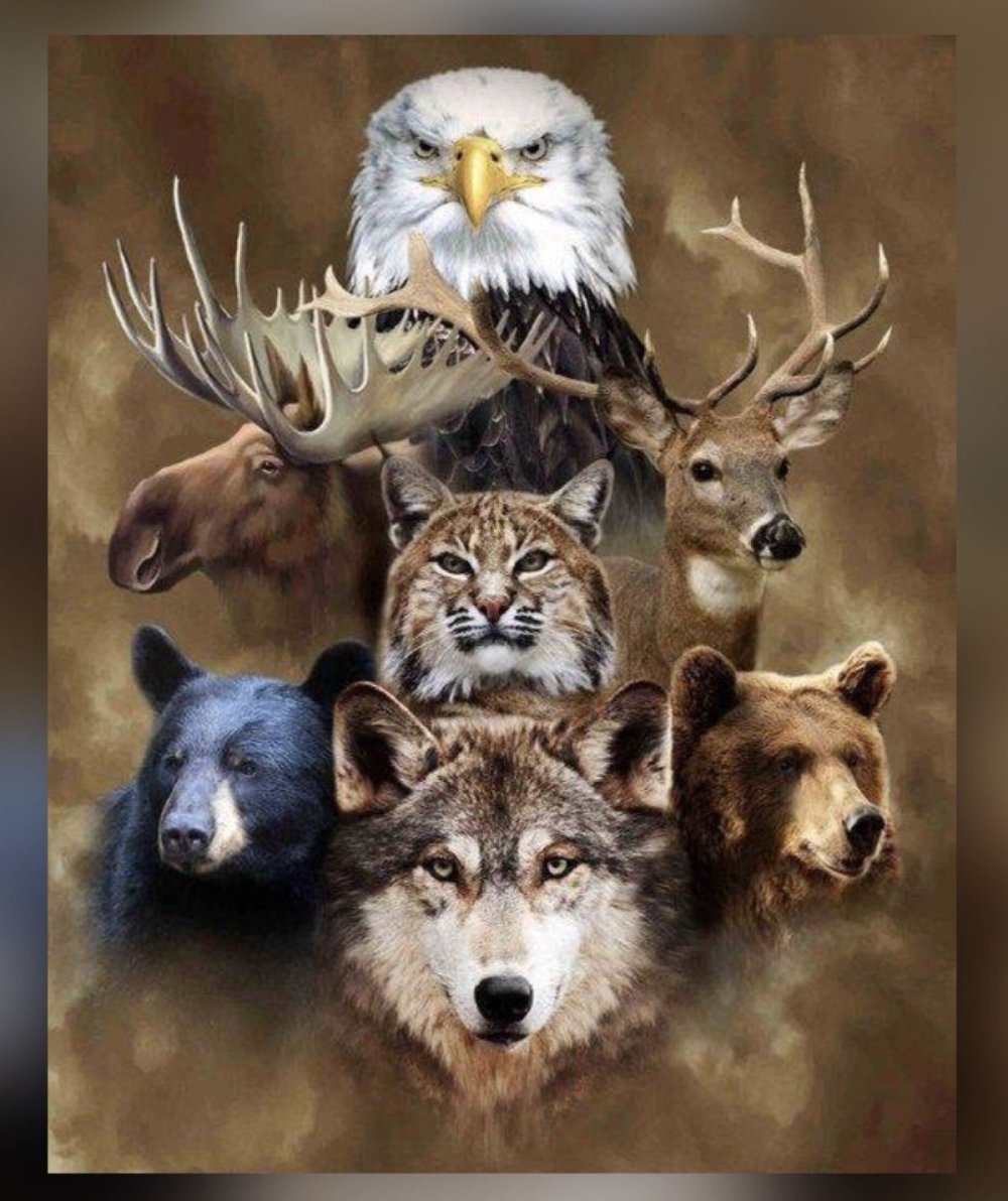 Дикие животные арт