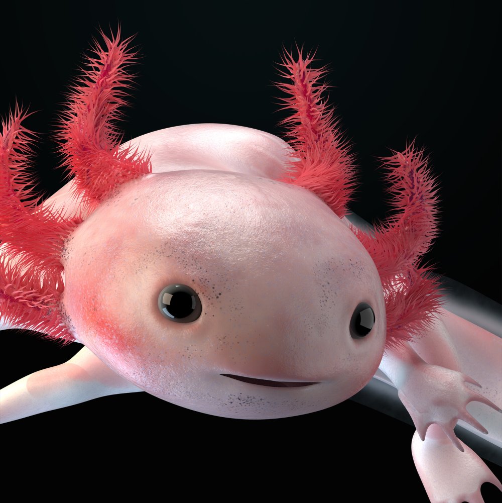 Аксолотль фиолетовый и Лунтик