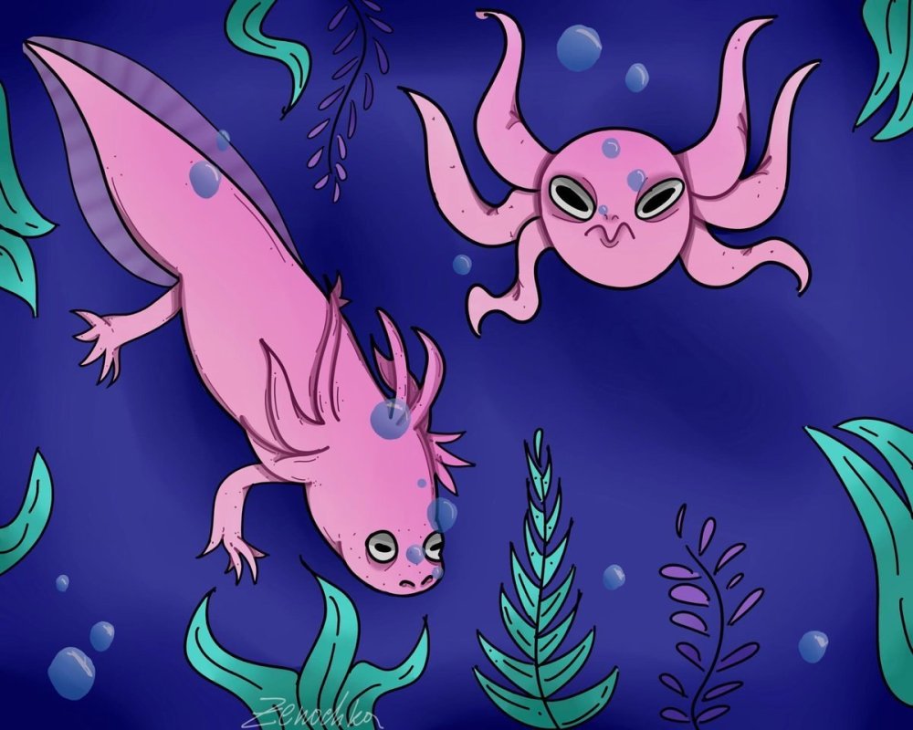 Аксолотль Эволюция