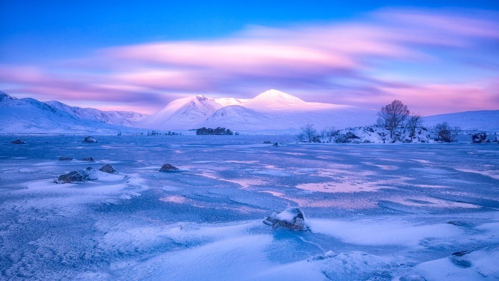 Чукотка лето в тундре