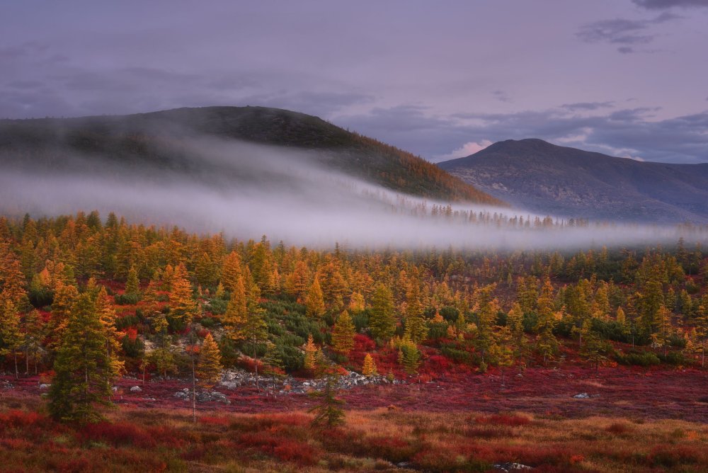 Озеро Джека Лондона туман