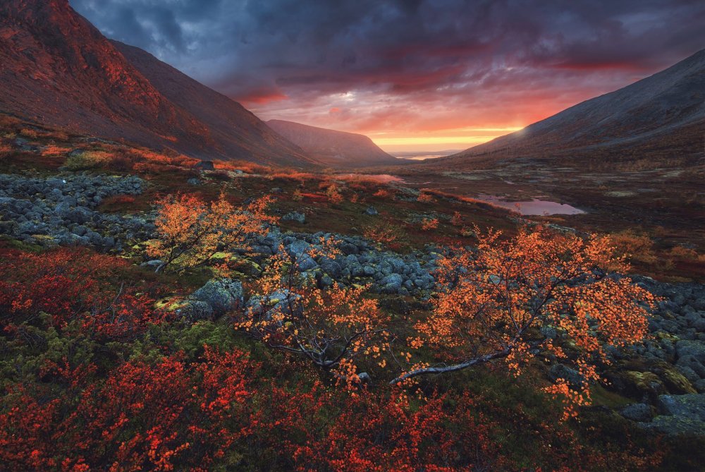 Кольский полуостров Хибины тундры