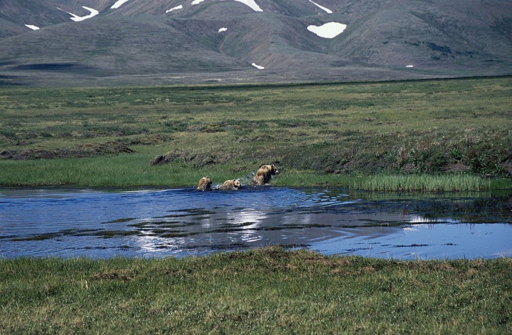 Билибино Чукотка природа