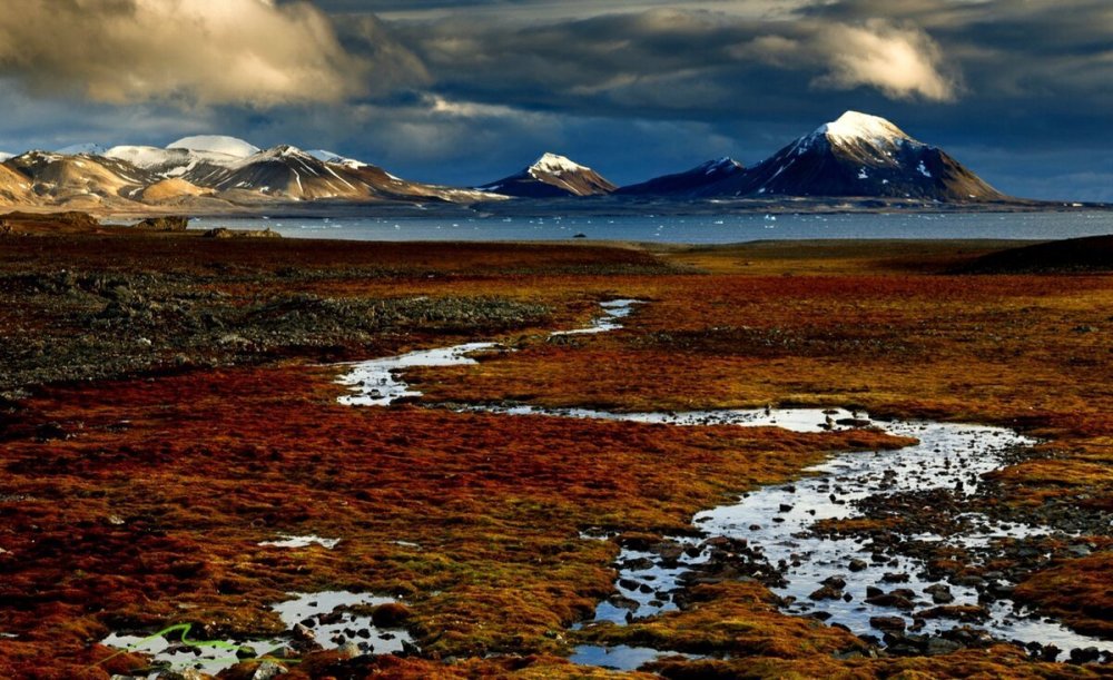 Арктическая тундра Аляска