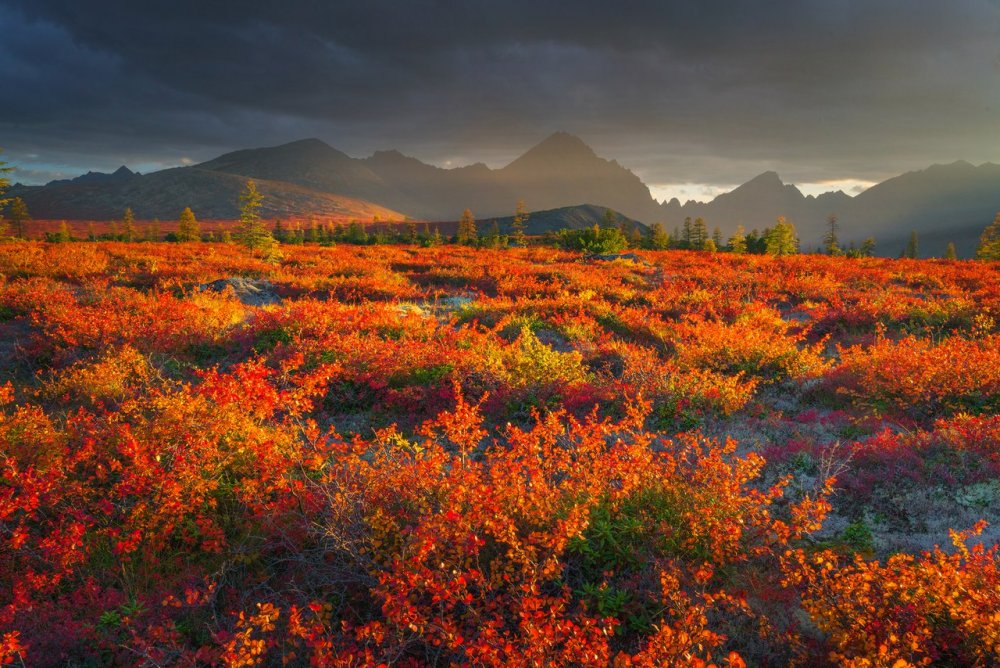 Осенние сопки Магадана