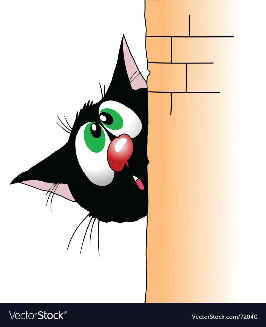 Кот осторожно выглядывает из-за угла