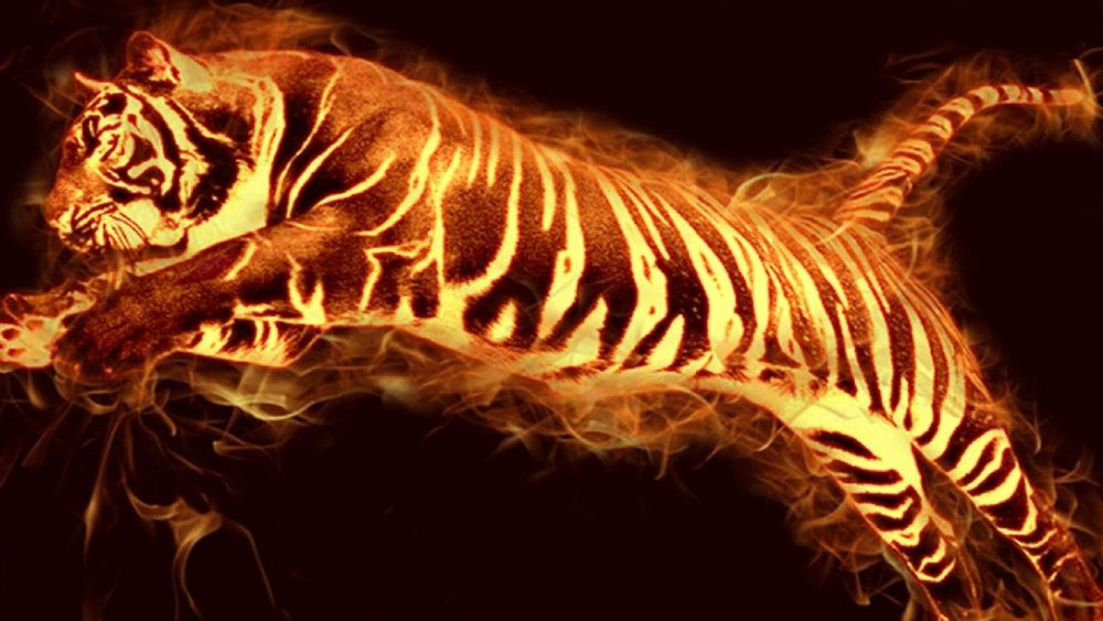 Крутые обои с тигром