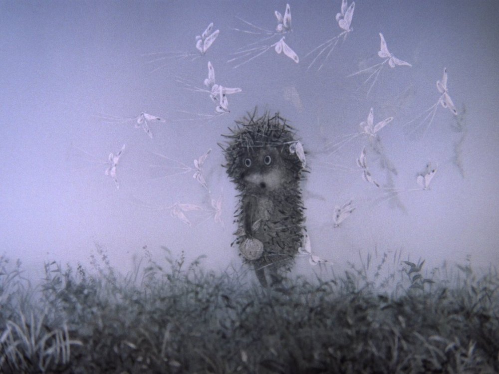 «Ежика в тумане» мультильма